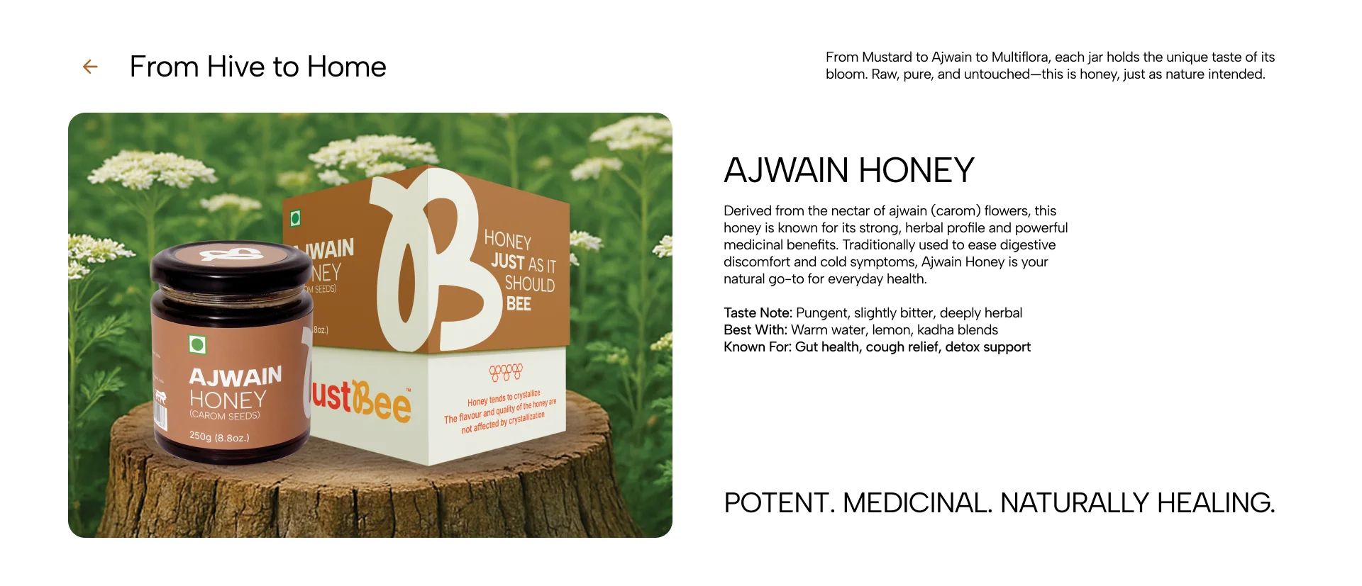 Mustard Honey Box